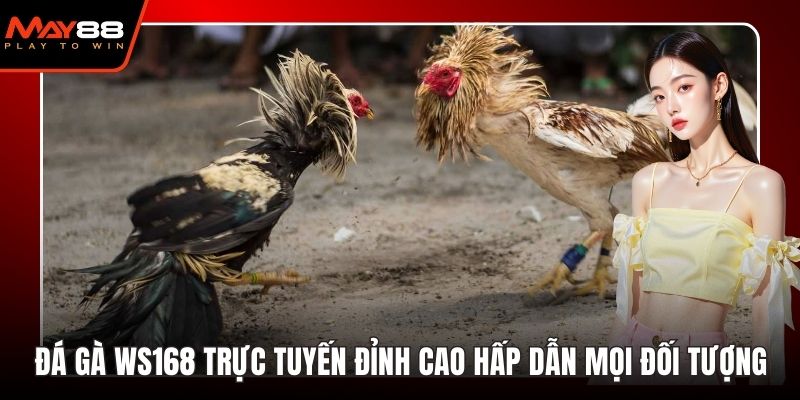 đá gà WS168