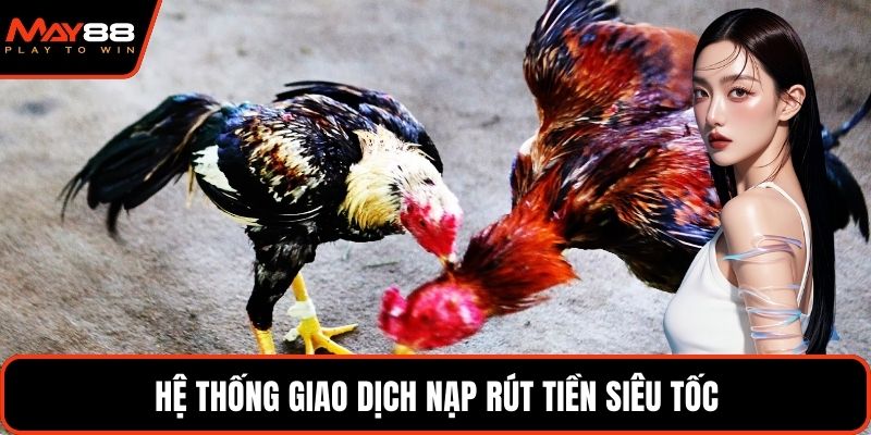 Hệ thống giao dịch nạp rút tiền siêu tốc